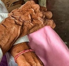 दिल्लीमा ८६ वर्षीया वृद्धामाथि बलात्कार