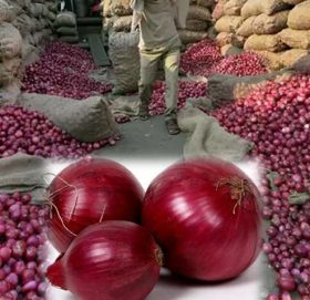 २४ घण्टामा दुई गुणाले मूल्यवृद्धि