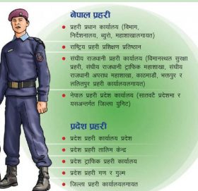 यस्तो हुनेछ केन्द्र र प्रदेश प्रहरीको संरचना