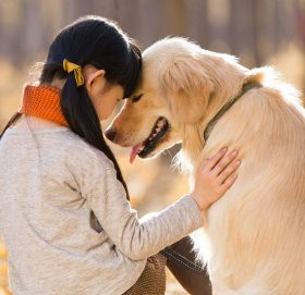 कुकुर मानिसको सबैभन्दा मिल्ने साथी