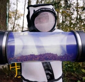 अमेरिकामा अरिङ्गालले खैलाबैला, पहिलोपटक भेटियो गोलो