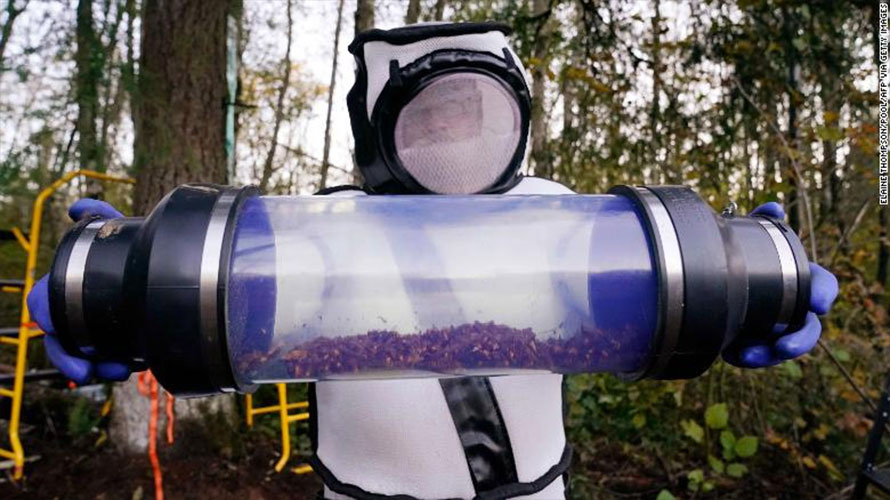 अमेरिकामा अरिङ्गालले खैलाबैला, पहिलोपटक भेटियो गोलो