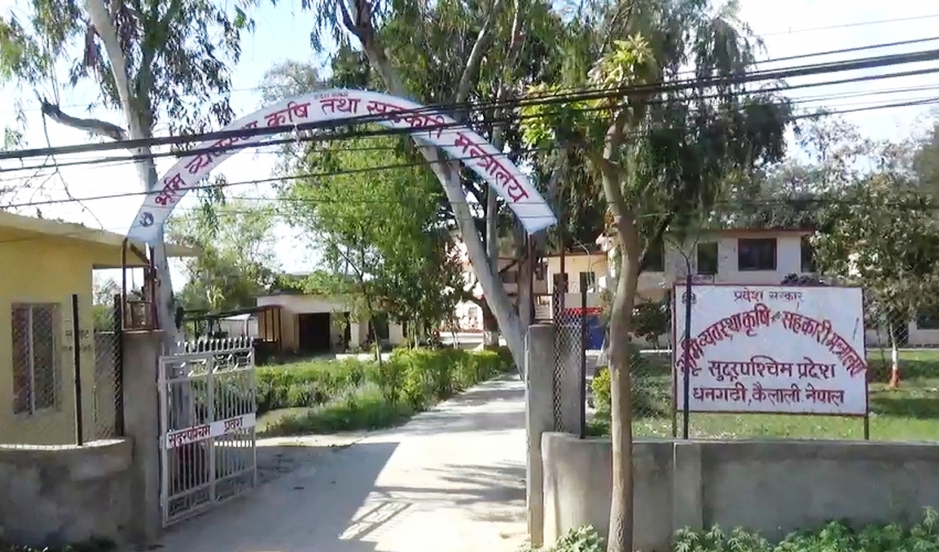 सुदूरपश्चिममा स्वरोजगार बन्न ७८ हजार युवाले दिए आवेदन