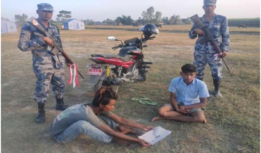 कञ्चनपुरमा चरेश सहित २ जना पक्राउ