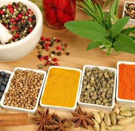 आयुर्वेदिक उपचारमा आकर्षण