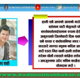 नेबिसंघ नेता शाहीले पार्टीकाे बैठकमा बुझाए लिखित सुझाव