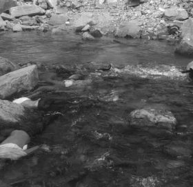 जाजरकोट जीप दुर्घटनाः आफन्तले शव बुझेनन्, चालकको घर र पसलमा लगाइदिए आगो