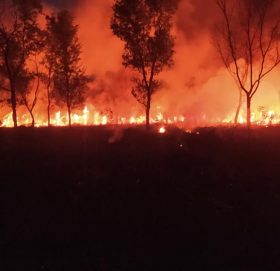 लुम्बिनी बिकास कोष परिसरभित्र आगलागी