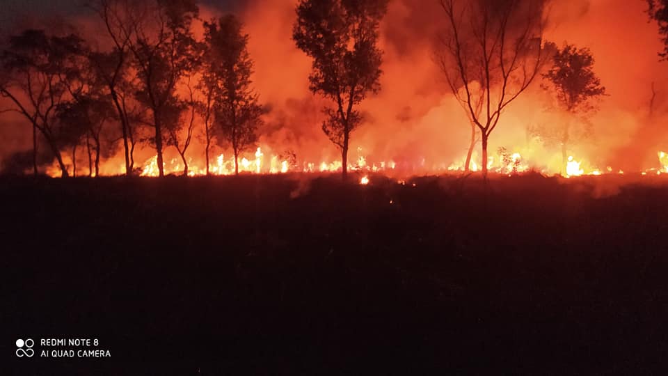 लुम्बिनी बिकास कोष परिसरभित्र आगलागी