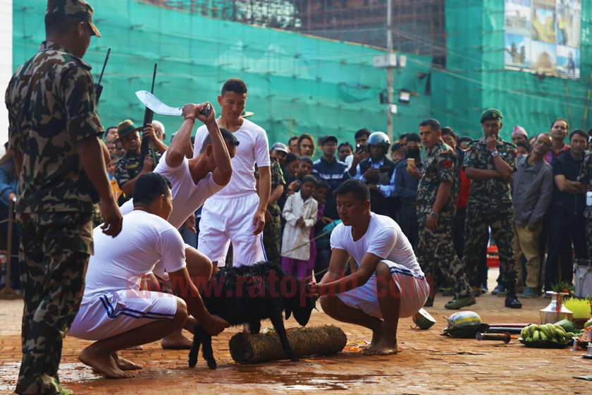 महानवमी पर्व : दुर्गा भवानीको पूजा आराधना गरी बलि दिएर मनाइँदै