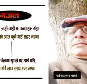 जनता लाई सरकारको कत्ति भर भएन (गजल)