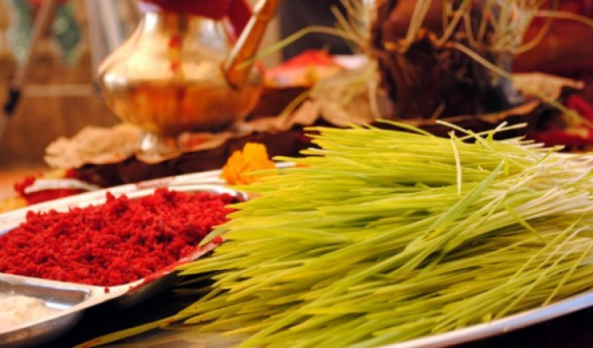 वर्षाका बाबजुद नवदुर्गाको प्रसाद स्वरुप टीका र जमरा लगाउने क्रम जारी