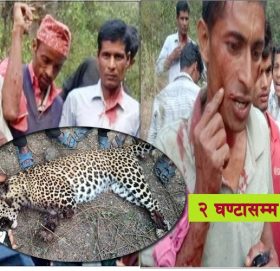 ‘बाघ’ मार्ने मान्छेहरु !