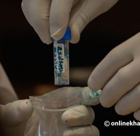 १० हजार ४२३ नमुना परीक्षण गर्दा २७५३ मा संक्रमण पुष्टि