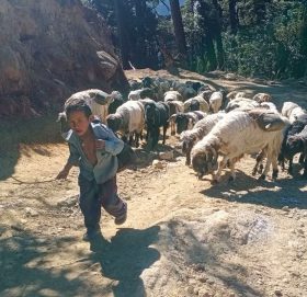 कोरोनाको कहरकाे वेवास्ता गर्दै जाडो छल्न् हिमाल बाँट बेशितिर