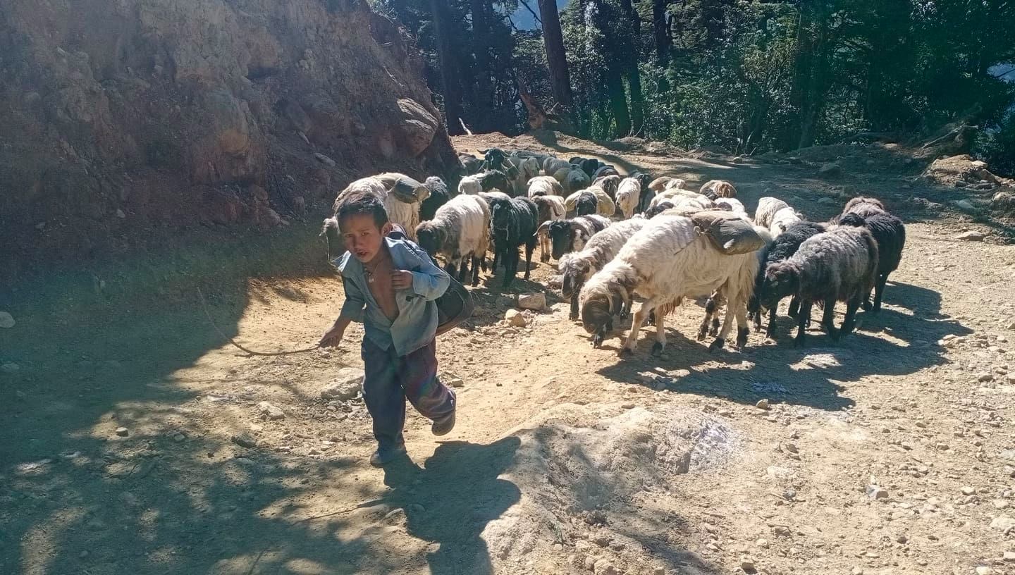 कोरोनाको कहरकाे वेवास्ता गर्दै जाडो छल्न् हिमाल बाँट बेशितिर