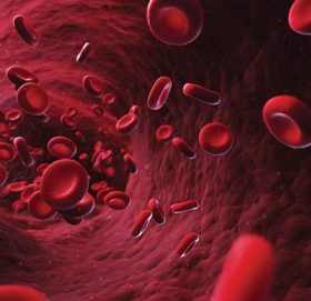 के तपाईंलाई अरुभन्दा बढी जाडो हुन्छ ? कतै यो रोगको लक्षण त होइन ? यसबाट छुटकारा पाउने ४ तरिका