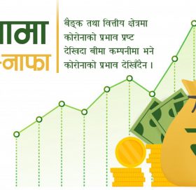 नाफामा निर्जीवनभन्दा जीवन बीमा कम्पनी अगाडी : पहिलो स्थानमा नेपाल लाइफ