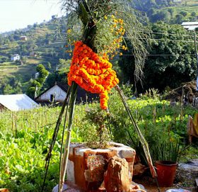 हरिबोधनी एकादशी बुधबार र बिहीबार