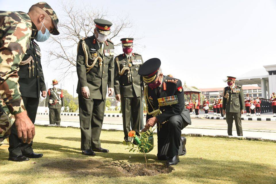 जंगी अड्डाभित्र भारतीय सेनाध्यक्षले रोपे ओखरको बिरुवा