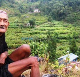 भोट दिएकैबाट चोट