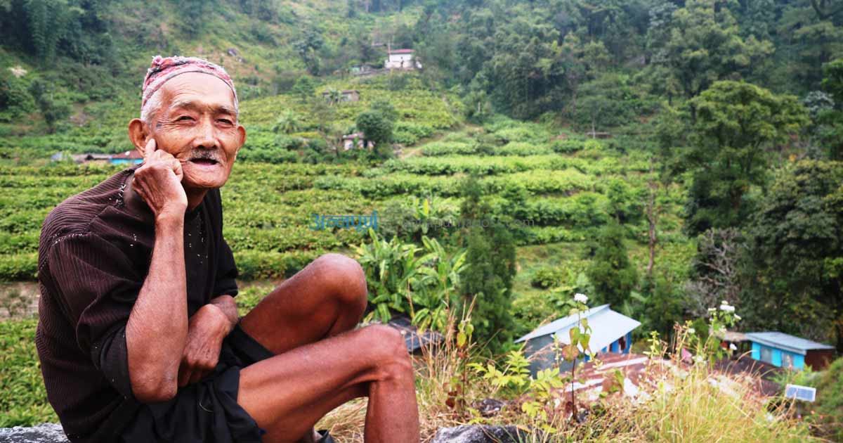 भोट दिएकैबाट चोट