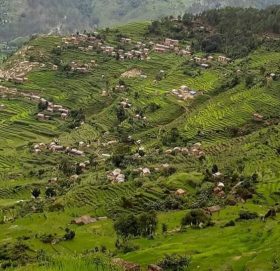 बडिमालिकाकाे मना गाउँलाई नमुना प्राङ्गारिक गाउँ बनाइने