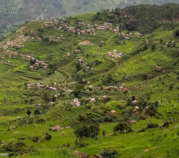 बडिमालिकाकाे मना गाउँलाई नमुना प्राङ्गारिक गाउँ बनाइने