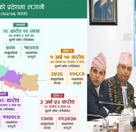 प्रधानमन्त्री अध्यक्ष रहेको गरिबी निवारणको कथा