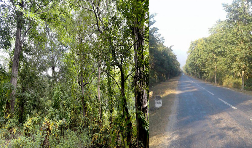 सुदूरपश्चिम प्रदेश: गोदावरीमा राजधानी बनाउँदा ५० बिघा क्षेत्रमा वन फँडानी हुने प्रारम्भिक आकलन