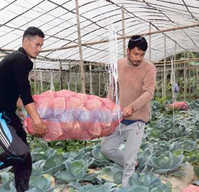 नमुना बने मामा भाञ्जा