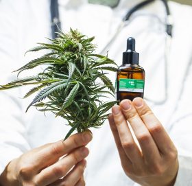 गाँजालाई खतरनाक लागुपदार्थको सूचीबाट हटायो राष्ट्रसंघले