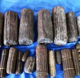 बाजुराकाे डोगडी बाट १० किलो चरेशसहित युवक पक्राउ