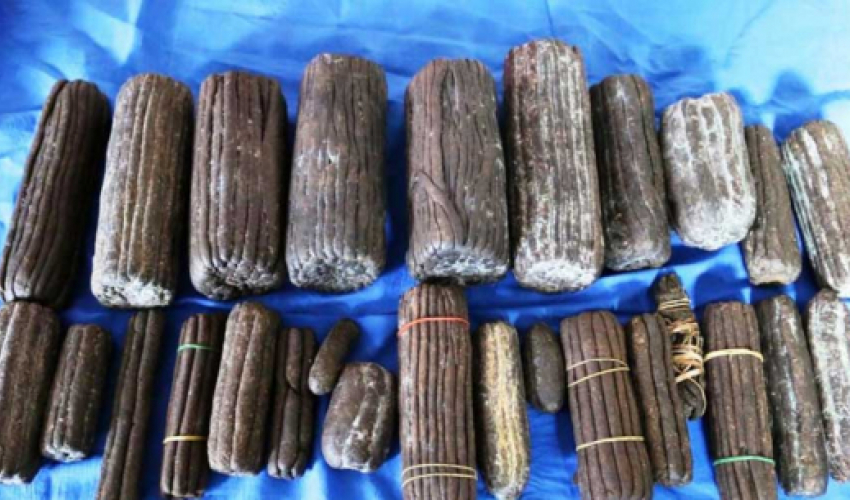 बाजुराकाे डोगडी बाट १० किलो चरेशसहित युवक पक्राउ