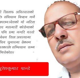 संबिधानको खिल्ली