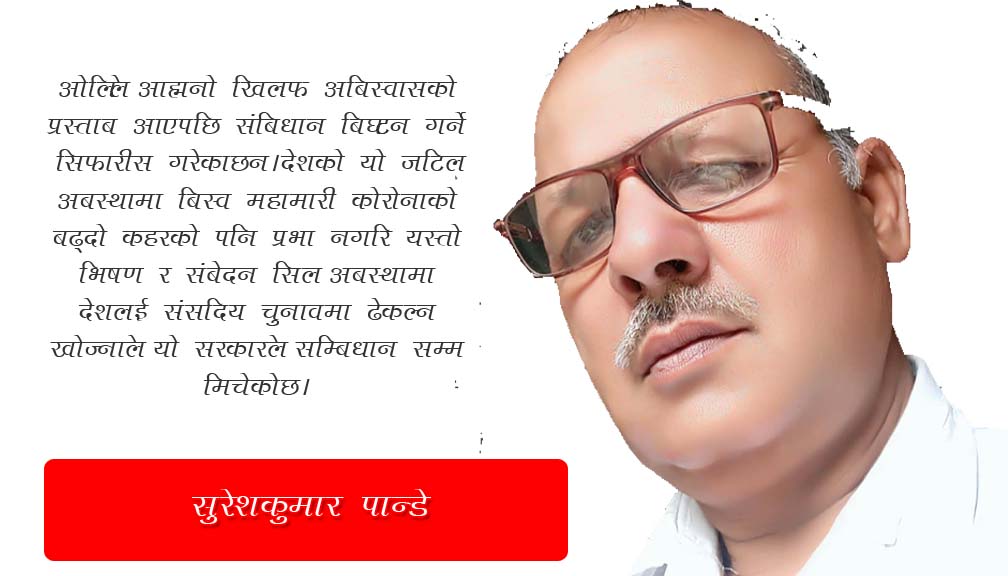 संबिधानको खिल्ली