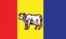 राप्रपाले घोषणा गर्‍यो आन्दोलनका कार्यक्रम