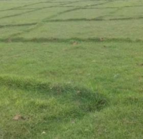 अब वेबसाइटबाटै माटो परीक्षण