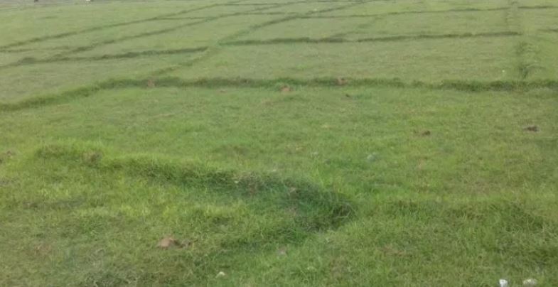 अब वेबसाइटबाटै माटो परीक्षण