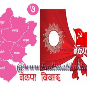 सुदुरपश्चिम प्रदेश : नेकपामा केन्द्रको किचलो प्रदेशमा सर्दै