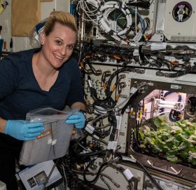 अन्तरिक्षमा पहिलो पटक फलाइयो मूला, नासाले सेयर गर्‍यो तस्बिर