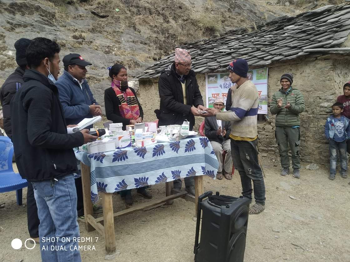 बडिमालिका ६ काेर्धमा १ दिने पशु स्वास्थ्य शिबिर सम्पन्न