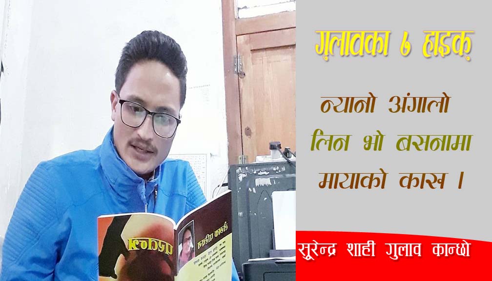 गुलाबका सात हाइकु