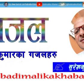 सरकारी साँढले पनि संघियता असफल भन्छन