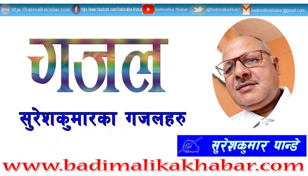 सरकारी साँढले पनि संघियता असफल भन्छन