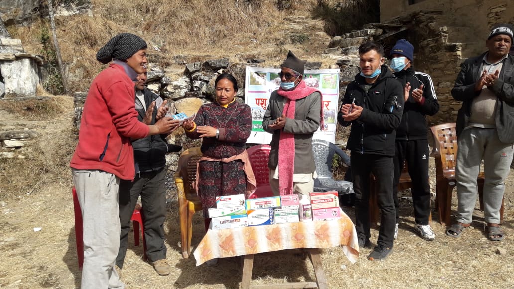 गाैमुलमा ६ हजार बढि पशुकाे उपचार गरियाे