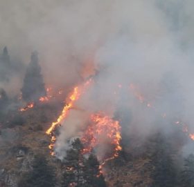 थानचोकस्थित बनमा लागेको आगो डेढ महिनासम्म पनी नियन्त्रणमा आउन सकेन