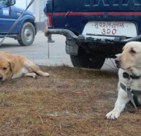 धनगढीमा प्रधानमन्त्रीको सुरक्षार्थ खटाइए ‘राजारानी’