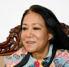 संवैधानिक इजलासमा सपना प्रधान मल्लको ईन्ट्री