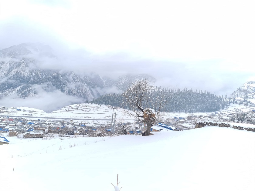 हुम्लामा भारी हिमपात, चिसोले जनजीवन कष्टकर